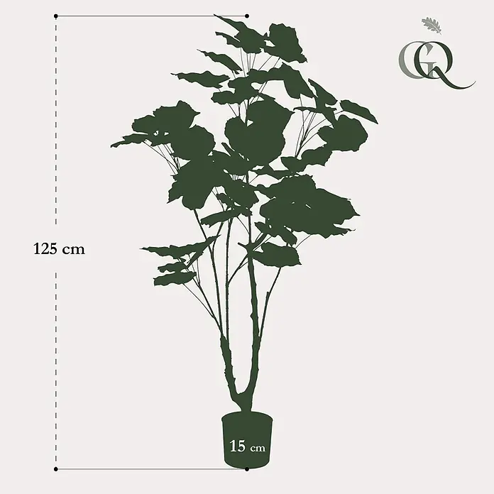 Florora Kunstpflanze Afrikanische Feige - Höhe: 125 cm, Holz - Dunkelgrüne Silhouette einer Pflanze im Topf, mit Maßen: 125 cm Gesamthöhe und 15 cm Topfdurchmesser.