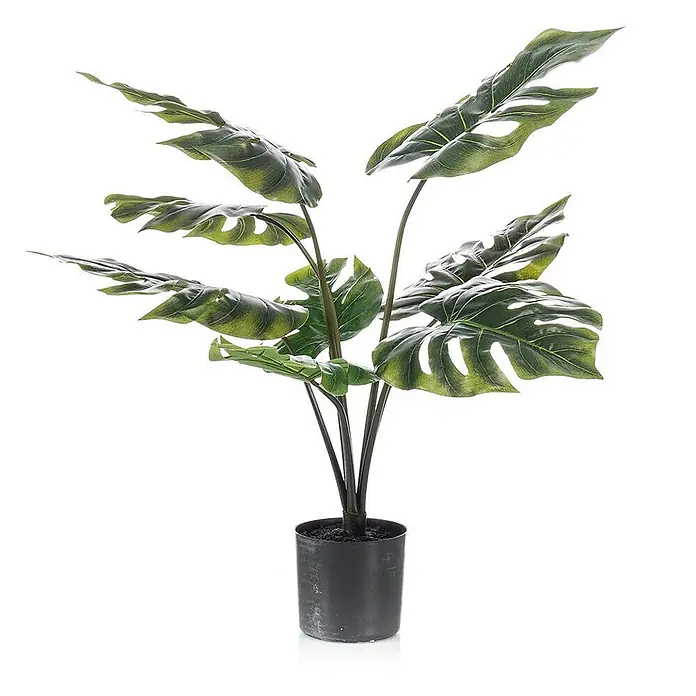 Florora Kunstpflanze Löcherpflanze - Höhe: 65 cm, Holz - Künstliche Monstera-Pflanze mit großen, geschlitzten grünen Blättern in einem schwarzen Topf.