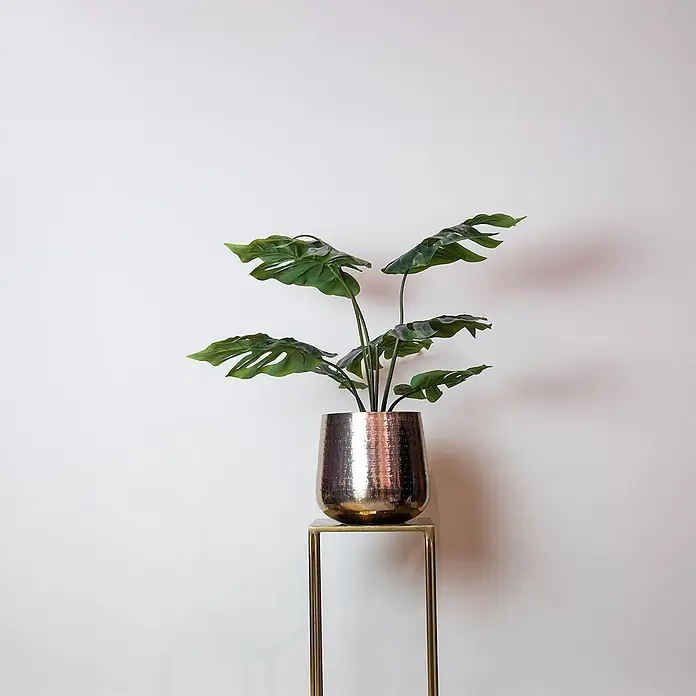Florora Kunstpflanze Löcherpflanze - Höhe: 65 cm, Holz - Eine grüne Pflanze in einem gehämmerten Metalltopf auf einem goldenen Ständer.