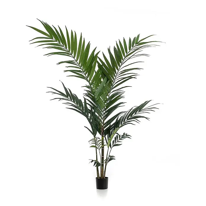 Florora Kunstpflanze Kentia-Palme - Höhe: 150 cm, Holz - Lebensechte grüne Kunstpalme im schwarzen Topf, zur Innendekoration.