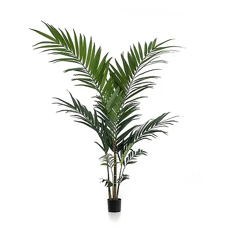 Florora  Kunstpflanze Kentia-Palme