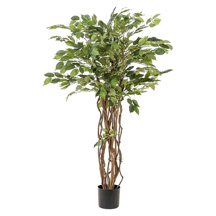 Florora Kunstpflanze Geigenfeige - Höhe: 140 cm, Holz - Künstlicher Ficusbaum mit grünen Blättern und gewundenen braunen Stämmen in schwarzem Topf.