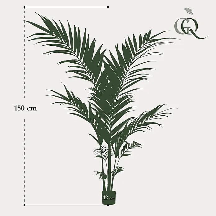 Florora Kunstpflanze Kentia-Palme - Höhe: 150 cm, Holz - Dunkelgrüne Silhouette einer Palme, 150 cm hoch, in einem 12 cm Topf.