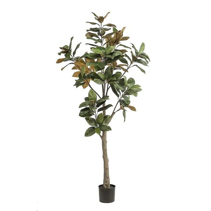 Florora Kunstpflanze Magnolie - Höhe: 180 cm, Blütenfarbe: Weiß, Holz - Künstlicher Magnolienbaum mit grünen und braunen Blättern in schwarzem Topf, zur Innendekoration.