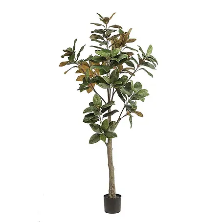 Florora  Kunstpflanze Magnolie