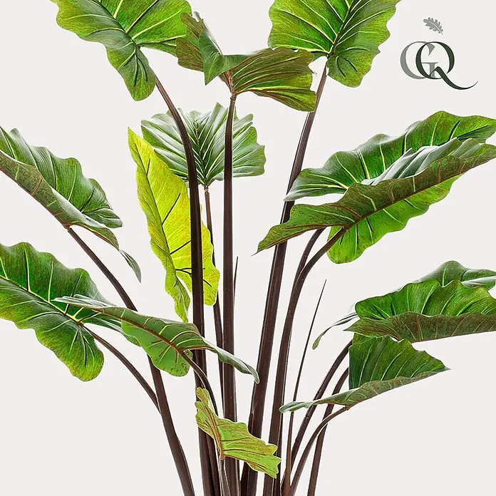 Florora Kunstpflanze Elefantenohr - Höhe: 130 cm, Holz - Künstliche Alocasia-Pflanze mit großen grünen Blättern und dunklen Stielen.