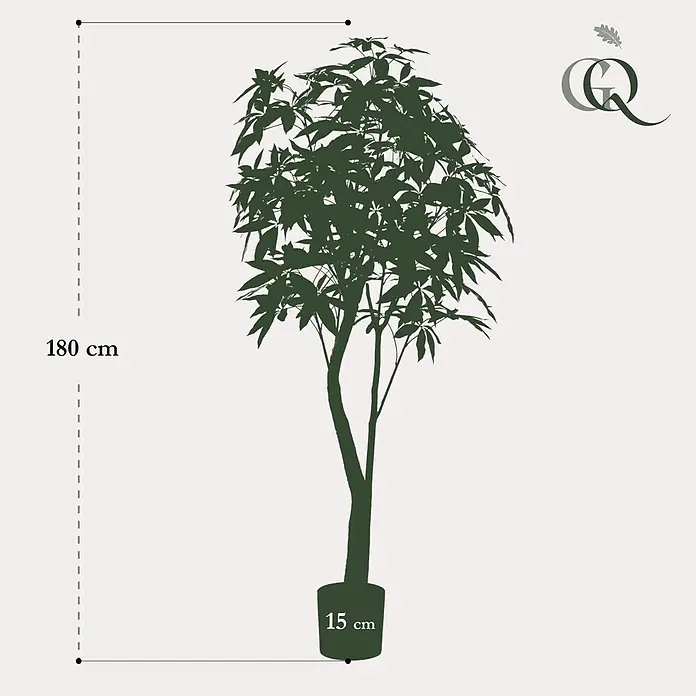 Florora Kunstpflanze Glückskastanie - Höhe: 180 cm, Holz - Dunkelgrüne Topfpflanzen-Silhouette, 180 cm hoch mit einem 15 cm hohen Topf.