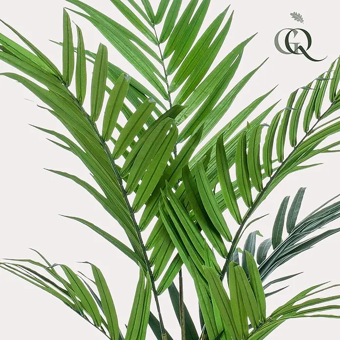 Florora Kunstpflanze Kentia-Palme - Höhe: 180 cm, Holz - Üppige grüne Palmwedel mit vielen schmalen Blättern, die eine volle, lebendige Kunstpflanze darstellen.
