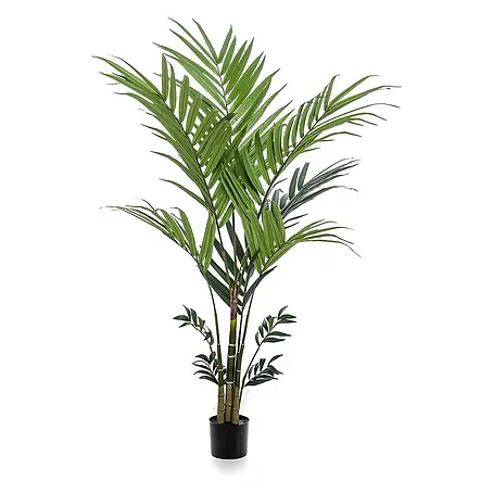 Florora  Kunstpflanze Kentia-Palme
