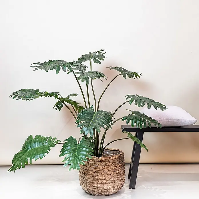 Florora Kunstpflanze Philodendron - Höhe: 105 cm, Holz - Große künstliche Grünpflanze in natürlichem Korb, neben einer schwarzen Bank mit weißem Kissen.