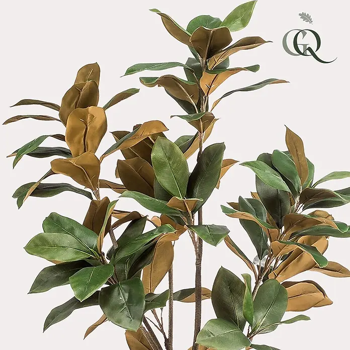 Florora Kunstpflanze Magnolie - Höhe: 150 cm, Blütenfarbe: Weiß, Holz - Kunstpflanze mit dunkelgrünen und braunen Blättern und Stängeln.