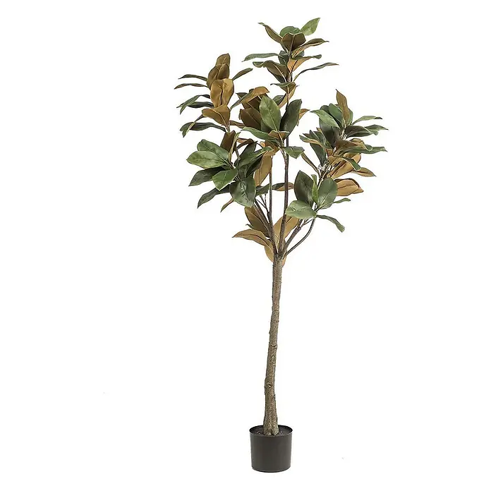 Florora Kunstpflanze Magnolie - Höhe: 150 cm, Blütenfarbe: Weiß, Holz - Künstlicher Magnolienbaum im Topf mit grünen und braunen Blättern und braunem Stamm in einem schwarzen Topf.