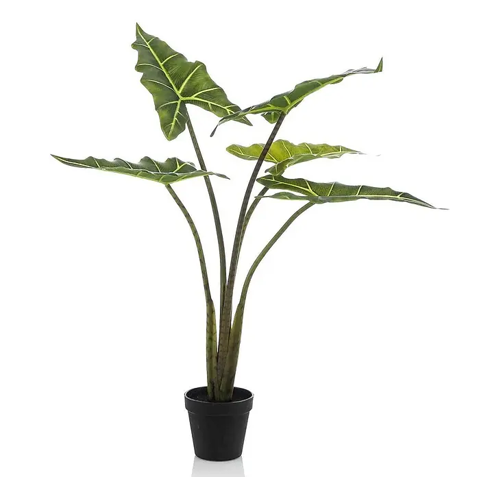 Florora Kunstpflanze Elefantenohr - Höhe: 80 cm, Holz - Künstliche grüne Alocasia-Pflanze mit auffälligen Adern in einem schwarzen Topf.