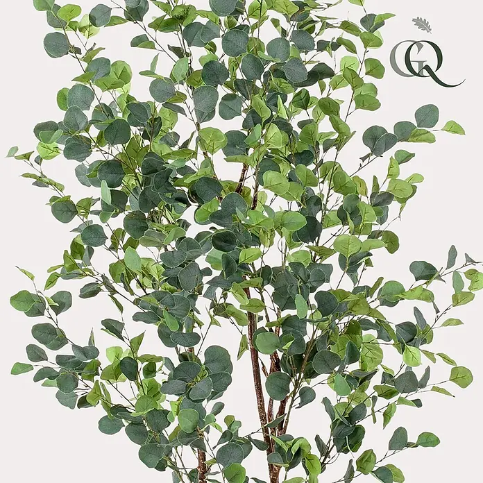 Florora Kunstpflanze Blauer Gummibaum - Höhe: 180 cm, Holz - Künstliche Eukalyptuszweige mit grünen Blättern.