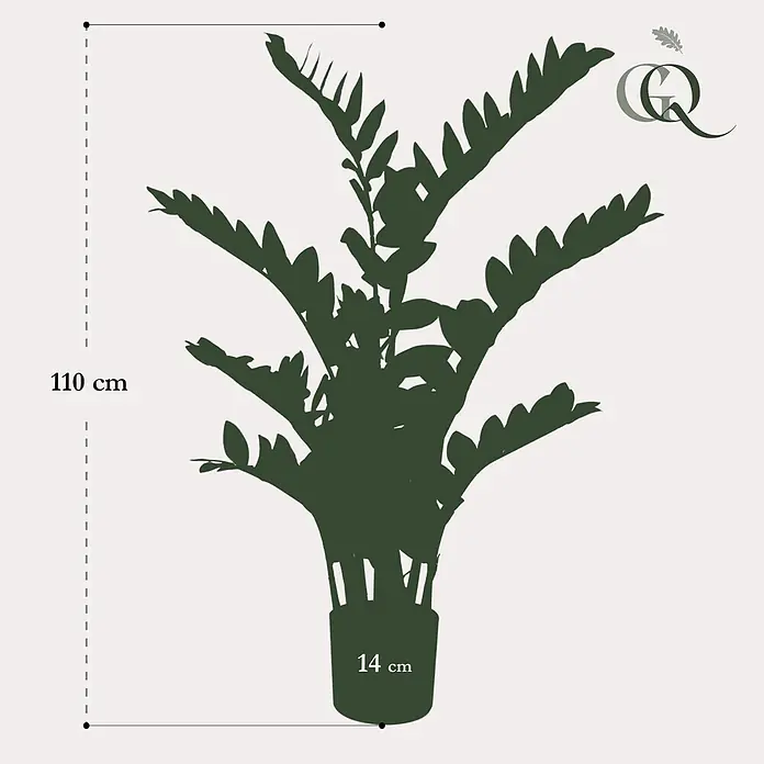 Florora Kunstpflanze Glücksfeder - Höhe: 110 cm, Holz - Dunkelgrüne ZZ-Pflanzensilhouette, 110 cm hoch, Topfdurchmesser 14 cm.