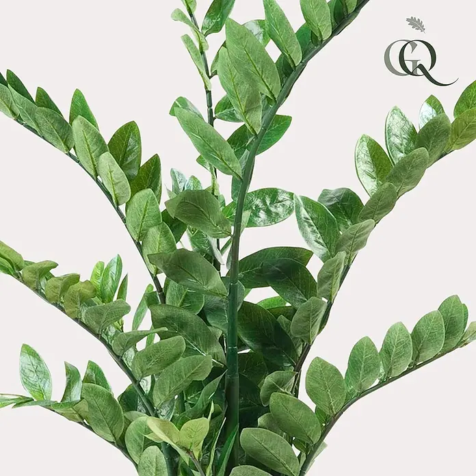 Florora Kunstpflanze Glücksfeder - Höhe: 110 cm, Holz - Nahaufnahme einer leuchtend grünen Blattpflanze mit mehreren Stielen, ähnlich einer Zamioculcas.