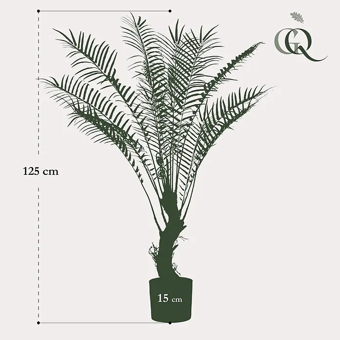 Florora Kunstpflanze Baumfarn - Höhe: 125 cm, Holz - Dunkelgrüne dekorative Palmenpflanzen-Silhouette, 125 cm hoch, in einem 15 cm breiten Topf.
