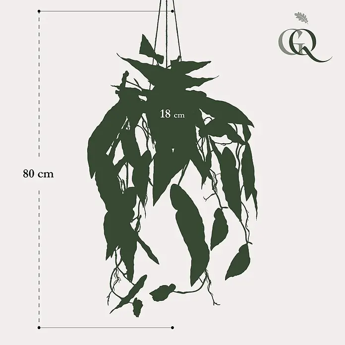 Florora Kunstpflanze Forellenbegonie - Höhe: 80 cm, Blütenfarbe: Weiß, Holz - Dunkelgrüne Hängepflanzen-Silhouette, 80 cm hoch und 18 cm breit.