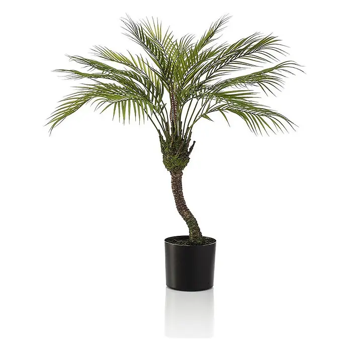 Florora Kunstpflanze Bergpalme - Höhe: 85 cm, Holz - Künstliche grüne Palme in schwarzem Topf mit strukturiertem, gebogenem braunem Stamm.