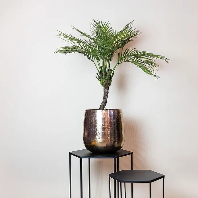 Florora Kunstpflanze Bergpalme - Höhe: 85 cm, Holz - Kleine Palme in gehämmertem Bronzetopf, auf einem schwarzen sechseckigen Beistelltisch.