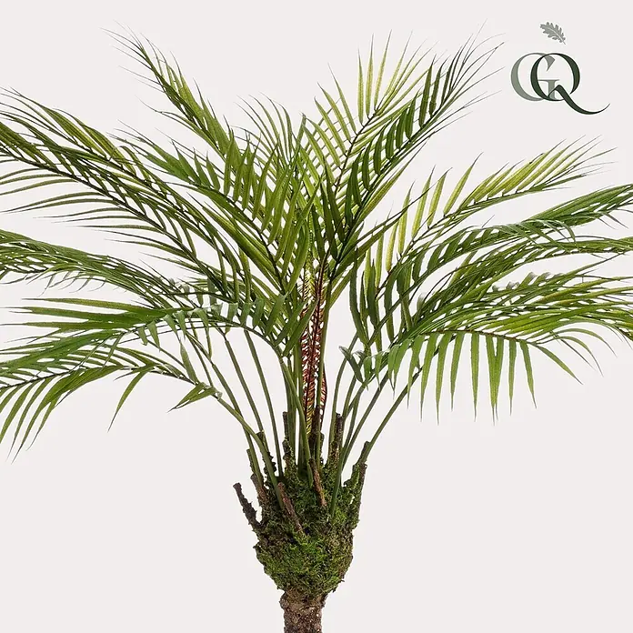 Florora Kunstpflanze Bergpalme - Höhe: 85 cm, Holz - Eine künstliche Palme mit üppig grünen Wedeln, einem rötlichen Mittelstamm und einem moosbedeckten Stammfuß.