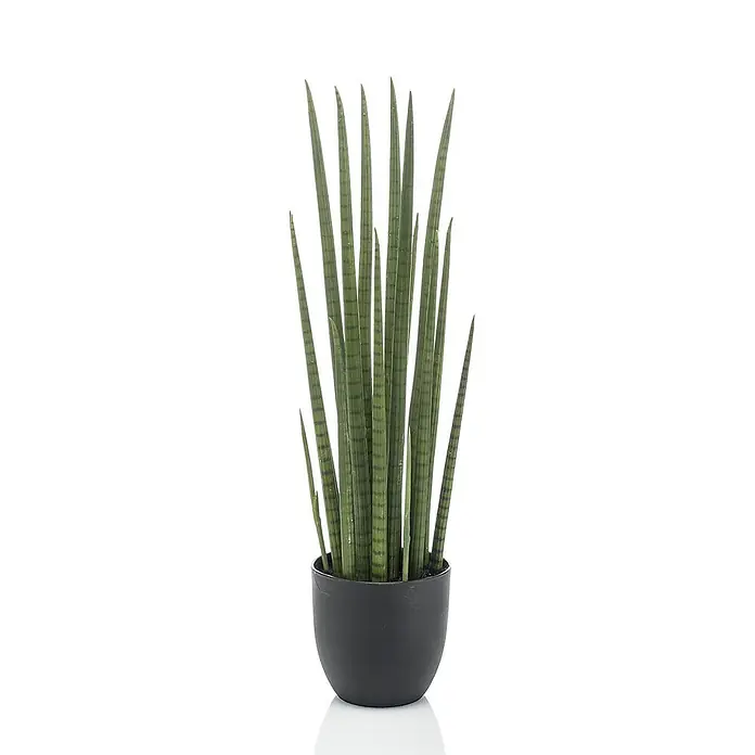 Florora Kunstpflanze Frauenzunge - Höhe: 70 cm, Holz - Hohe, schlanke grüne zylindrische Sansevieria in einem schwarzen Topf.