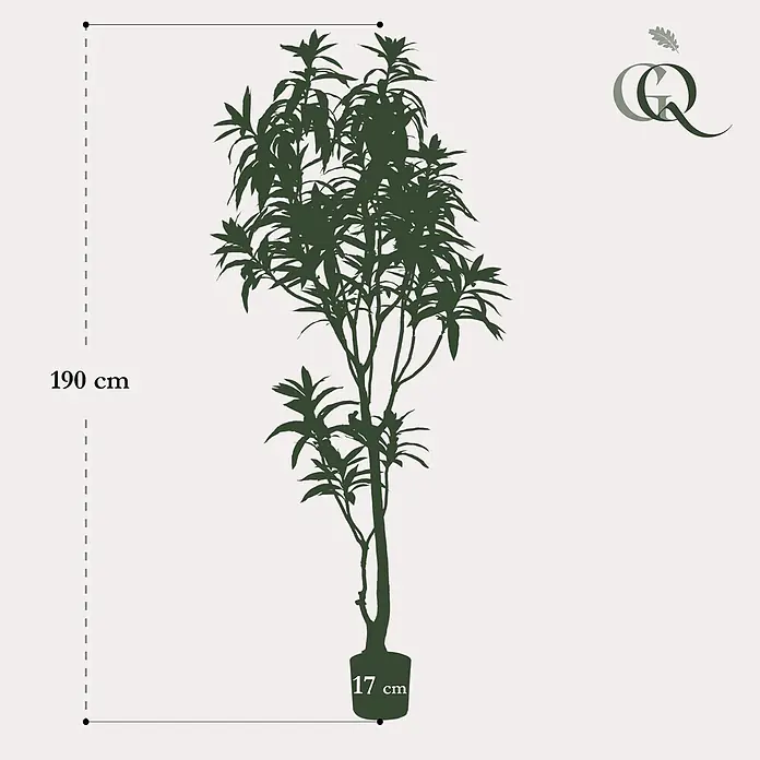 Florora Kunstpflanze Drachenbaum - Höhe: 190 cm, Holz - Dunkelgrüne Pflanzensilhouette, 190 cm hoch, mit 17 cm breitem Topf.