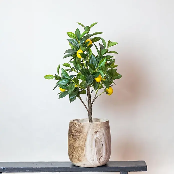 Florora Kunstpflanze Zitronenbaum - Höhe: 72 cm, Holz - Künstlicher Zitronenbaum mit grünen Blättern und gelben Zitronen in einem hellbraunen Holztopf, auf einer dunklen Bank.