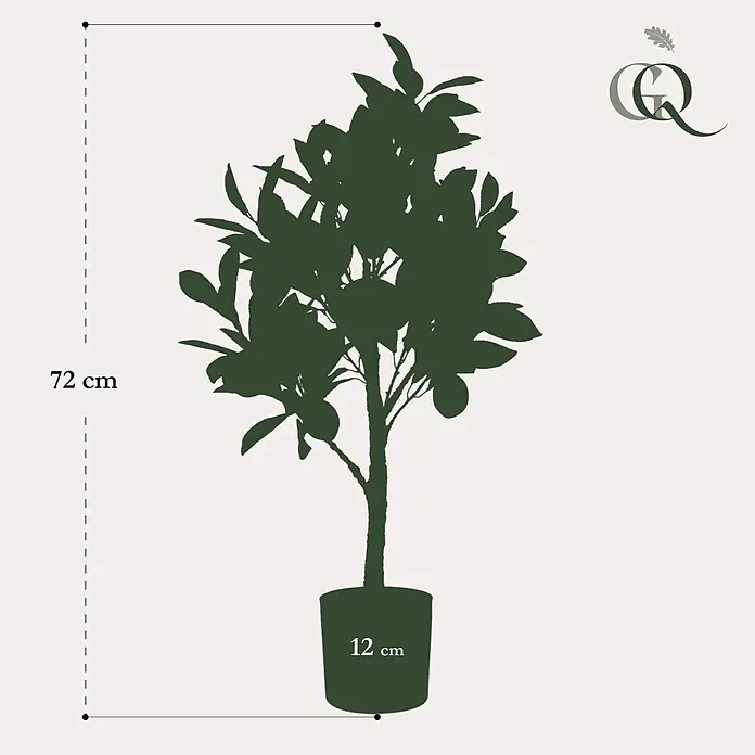 Florora Kunstpflanze Zitronenbaum - Höhe: 72 cm, Holz - Dunkelgrüne Silhouette einer Topfpflanze, 72 cm hoch, mit 12 cm Topf. Sieht aus wie ein fruchttragender Baum.