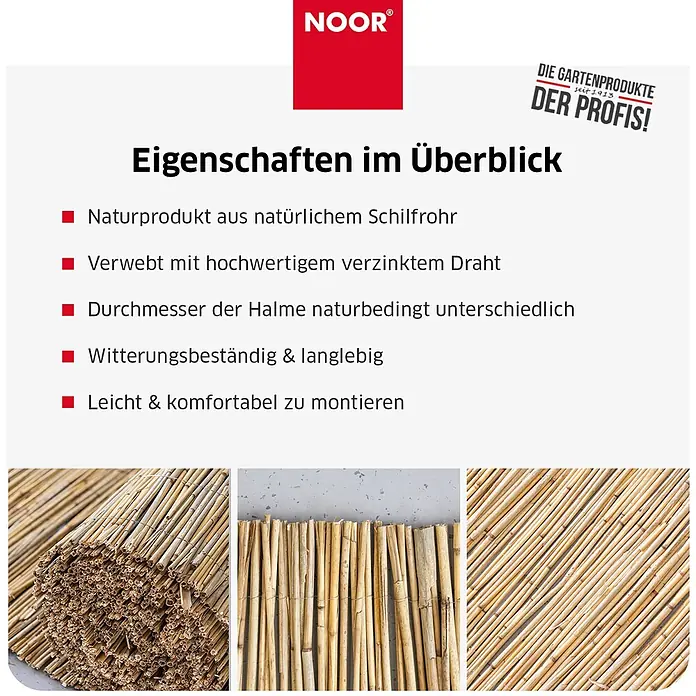 NOOR Sichtschutzelement ST. TROPEZ Schilfrohrmatte - Naturmaterialien, Natur - Naturfarbener Sichtschutz aus Schilfrohr, mit verzinktem Draht verwoben, wetterbeständig und langlebig.