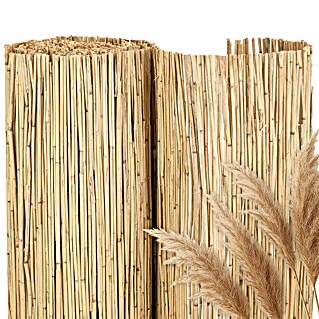 NOOR Sichtschutzelement ST. TROPEZ Schilfrohrmatte (B x H: 600 x 140 cm, Naturmaterialien, Natur)