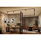 Paulmann Wand- & Deckenspot Urail Spot Lirena (Ø x H: 6 cm x 17 mm, GU10, Schwarz) | BAUHAUS