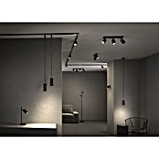 Paulmann Wand- & Deckenspot Urail Spot Lirena (Ø x H: 6 cm x 17 mm, GU10, Schwarz) | BAUHAUS