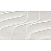 Nonnos Bedding Colchón Basic Visco (Largo: 190 cm, Ancho: 105 cm, Altura: 19 cm, Viscoelástica) | BAUHAUS