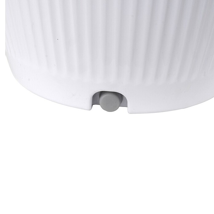 MConfort Climatizador evaporativo (Blanco, Altura: 80 cm) | BAUHAUS