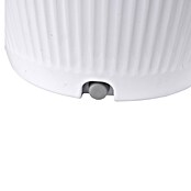 MConfort Climatizador evaporativo (Blanco, Altura: 80 cm) | BAUHAUS