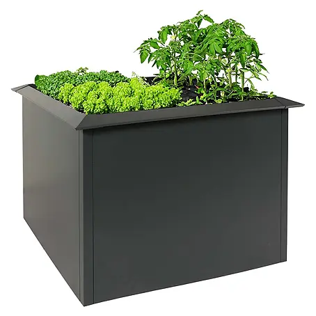 Proregal  Hochbeet mit Schneckenkante