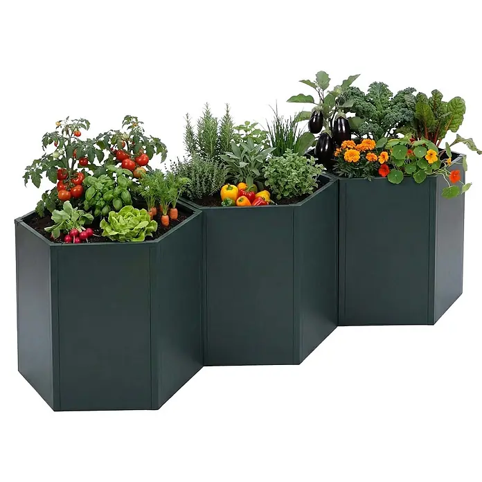 Proregal Hochbeet Metallhochbeet - Metall, Grün - Drei dunkelgrüne sechseckige Hochbeete in Zickzack-Anordnung, gefüllt mit verschiedenen essbaren Pflanzen und Blumen.