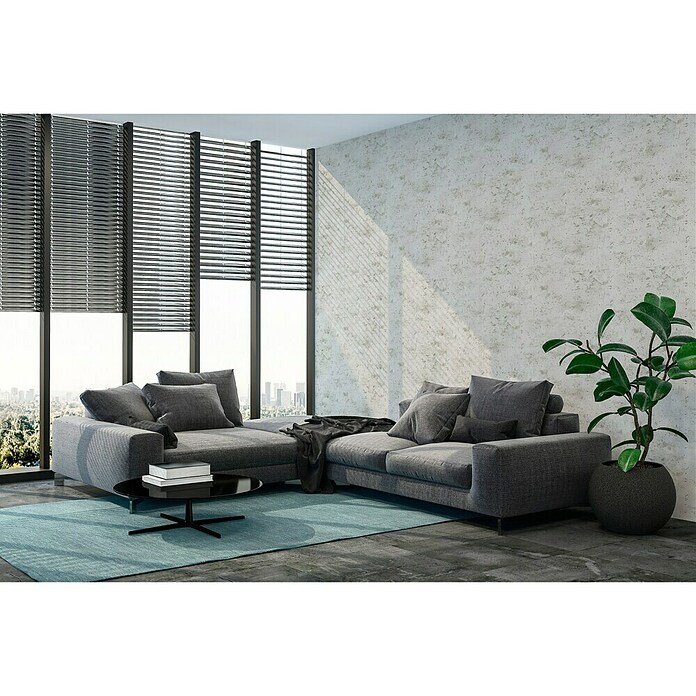AS Creation New Walls Vliestapete (Grau, Betonoptik, 10,05 x 0,53 m)