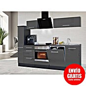 Respekta Premium Composición de cocina (Ancho: 250 cm, Con dispositivos eléctricos, Gris de alto brillo)