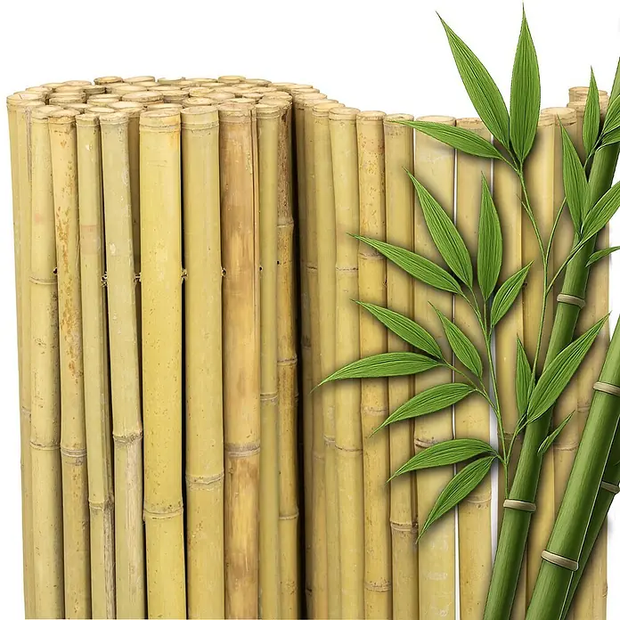 NOOR Sichtschutzelement DELUXE Bambusmatte - Naturmaterialien, Natur - Gerollter natürlicher Bambuszaun mit grünen Bambusstämmen und Blättern, ideal für Garten und Sichtschutz.