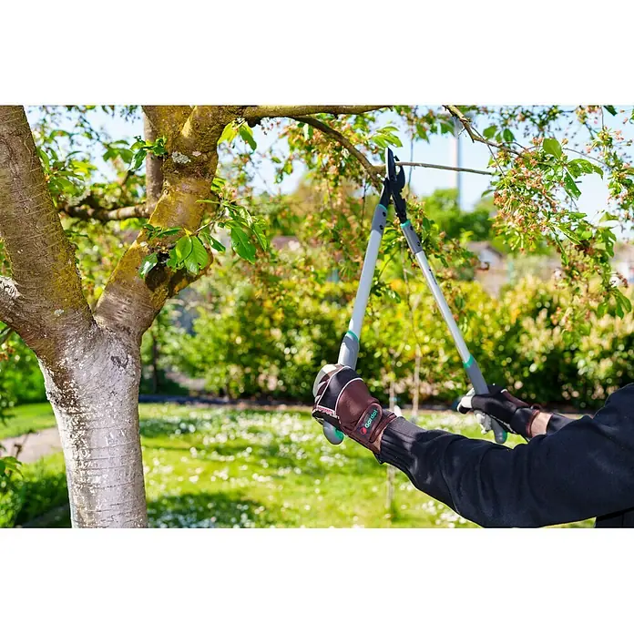 Gardol Gartenhandschuhe für den Geräteeinsatz - 8, M, Braun - Person mit Handschuhen verwendet langstielige Astschere mit grauen Griffen und schwarzen Klingen zum Baumschnitt im Garten.