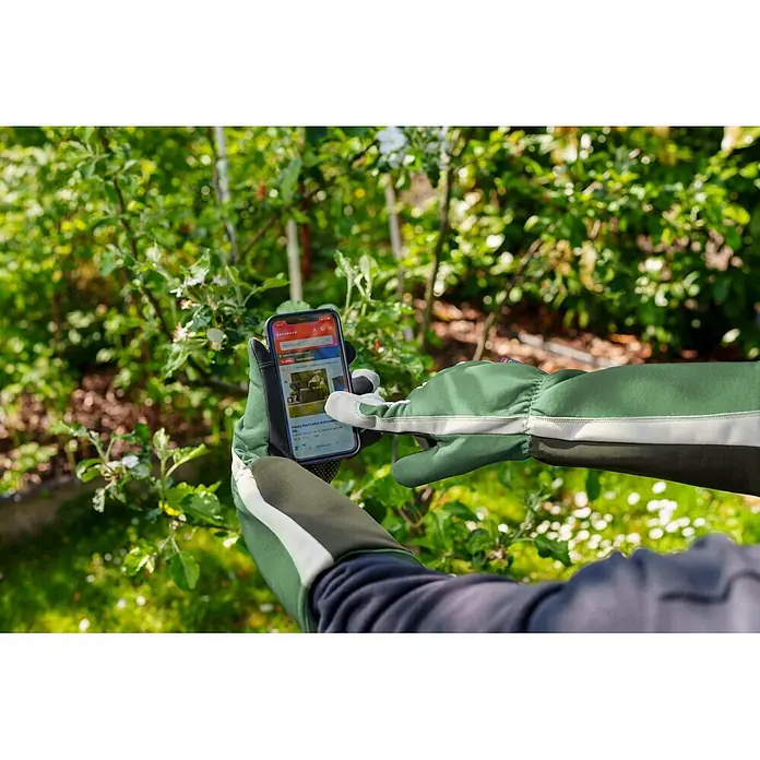 Gardol Gartenhandschuhe mit Stulpen - 8, M, Grün - Grüne Gartenhandschuhe halten ein Smartphone mit geöffneter E-Commerce-App.