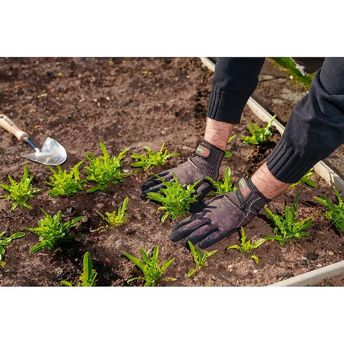 Gardol Gartenhandschuhe für Pflanzarbeiten - 9, L, Braun, 1 Stk. - Dunkle Gartenhandschuhe pflegen kleine grüne Pflanzen in Gartenerde.