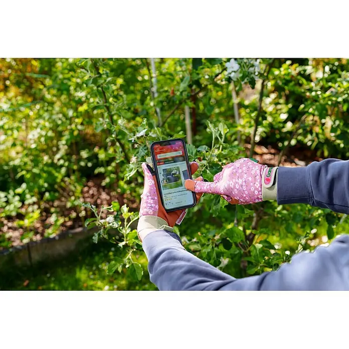 Gardol Gartenhandschuhe für Pflegearbeiten - 8, M, Lila/Braun - Person mit Gartenhandschuhen sucht schwarze Gartenbox auf Smartphone im Garten.