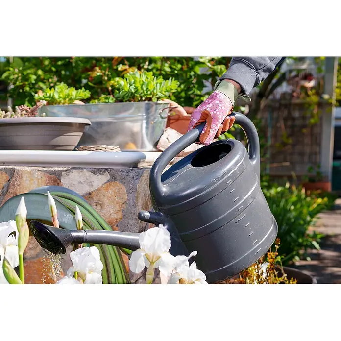 Gardol Gartenhandschuhe für Pflegearbeiten - 8, M, Lila/Braun - Eine behandschuhte Hand gießt weiße Blumen mit einer dunkelgrauen Gießkanne aus Kunststoff.
