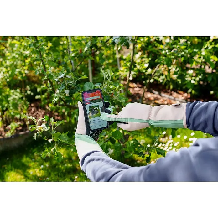 Gardol Gartenhandschuhe mit Stulpen - 8, M, Mint - Person in Gartenhandschuhen betrachtet eine anthrazitfarbene Garten-Aufbewahrungsbox XXL aus Kunststoff auf einem Smartphone im Garten.