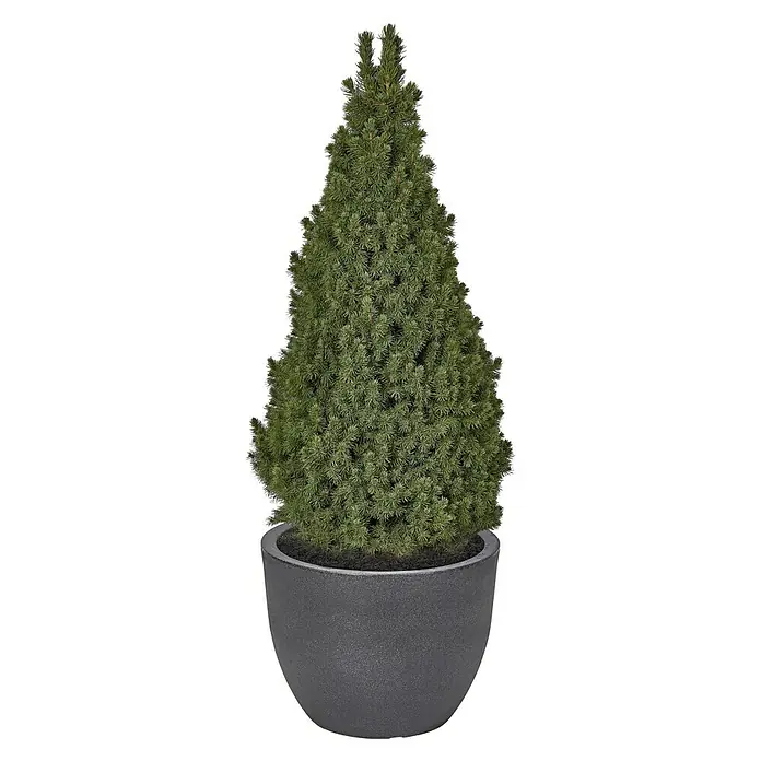 blumenkasten 30 cm lang Elan Mini-Blumenkasten 30 x 30 cm  Fr einen stilvollen Garten oder Balkon