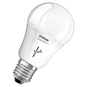Osram Lightify Kit de iniciación (10 W, Clase de eficiencia energética: A+, 810 lm, E27)