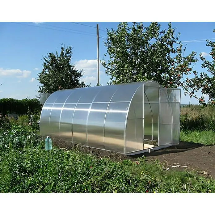 Garten Dream Gewächshaus - Außenmaß inkl. Dachüberstand (B x T): 250 x 800 cm, Material Seitenwand: Kunststoff, 4 mm, Silber - Gewölbte Gewächshaus mit lichtdurchlässigen Platten und geöffneter Tür, im Garten installiert.